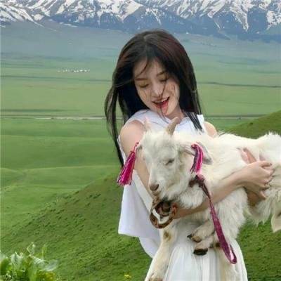 芳心终结者